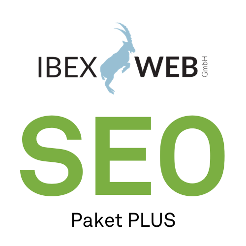 SEO Paket PLUS